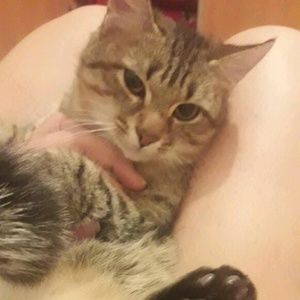 Meet your Posher, Stanley